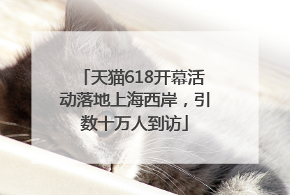 天猫618开幕活动落地上海西岸，引数十万人到访